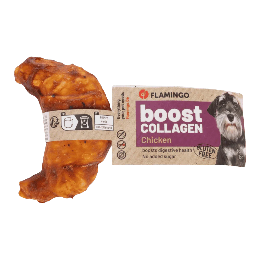 Mejores Ofertas en Productos para Perros
