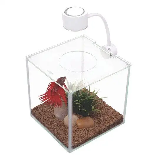 Miniatura 1